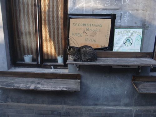 Mao (Cat).